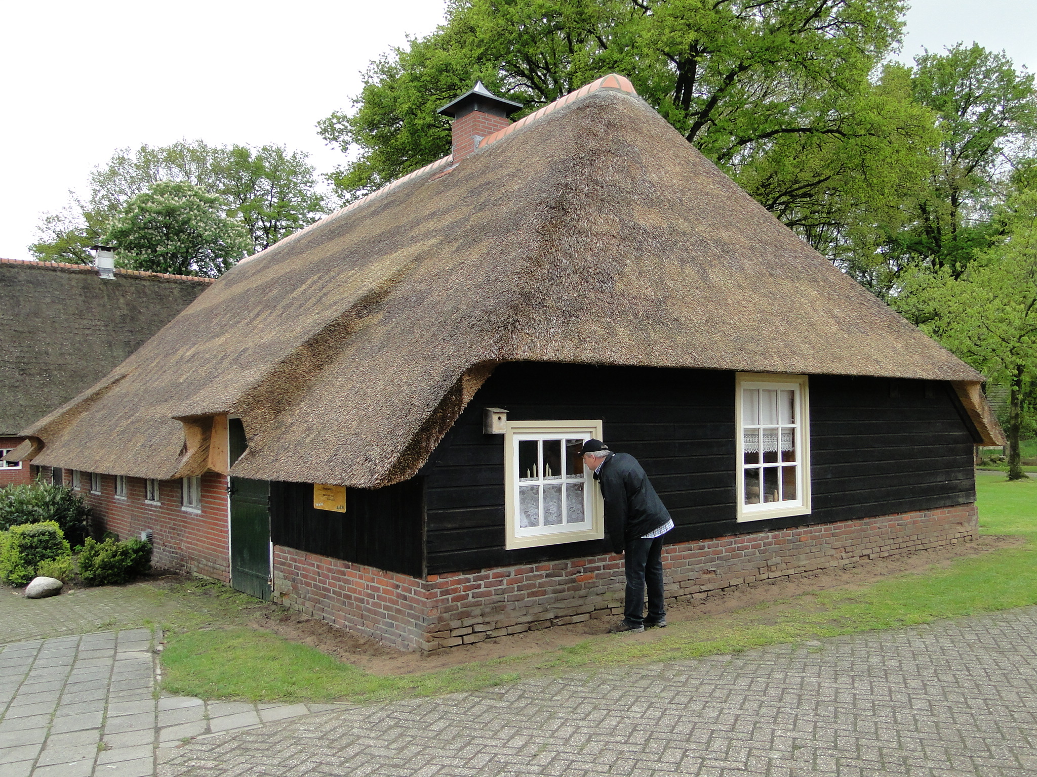 HWK 2010 012.jpg